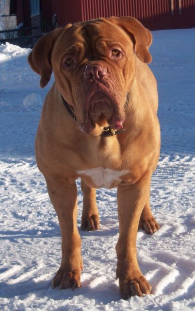 Hilda 20 månader gammal