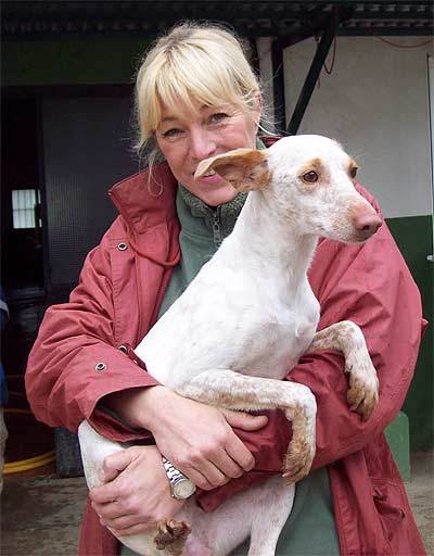 Osäker och olycklig bland alla hundar i hundhemmet i Spanien